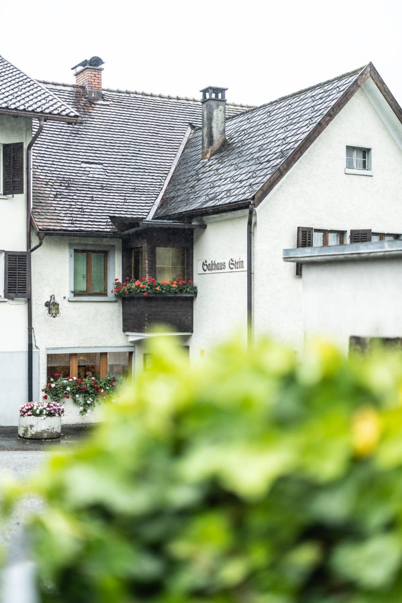 Pension Stein Göfis 外观 照片